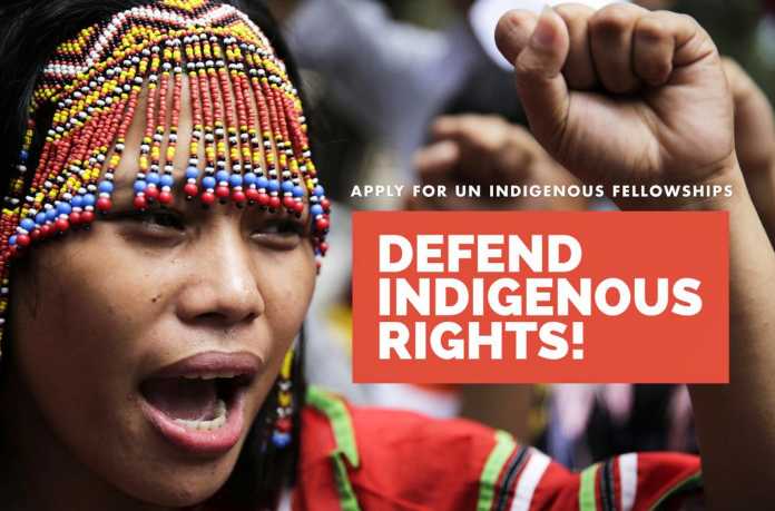 United Nations OHCHR Indigenous Fellowship Programme 2020– Human Right Training in Geneva Switzerland (Fully Funded)